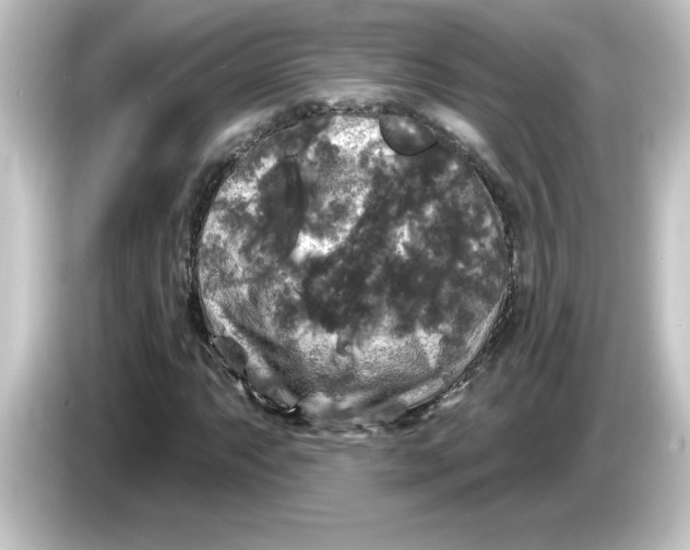 X0000084561063200703161700