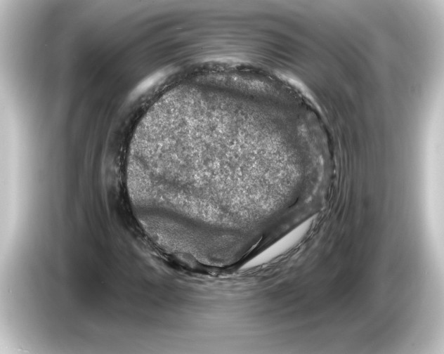 X0000084561064200703161700