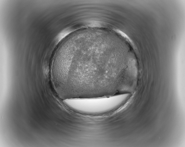 X0000084561065200703161700