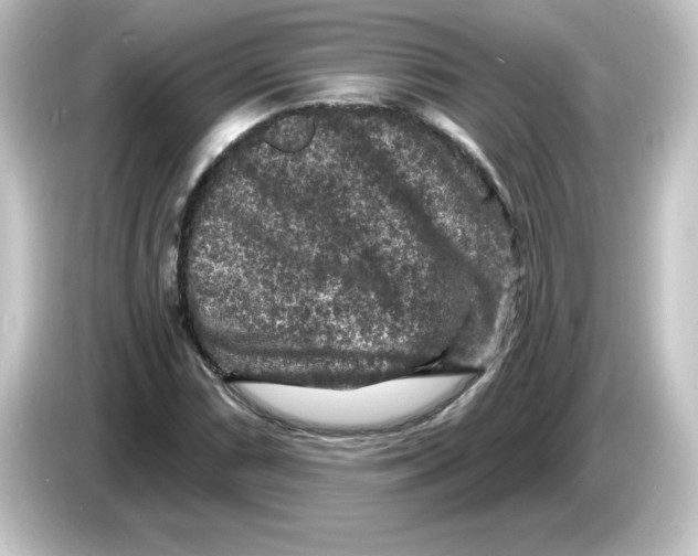 X0000084561066200703161700