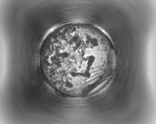 X0000084561067200703161700