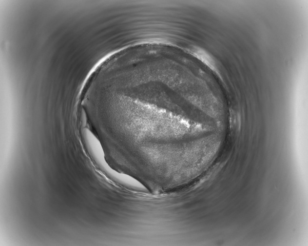 X0000084561068200703161700