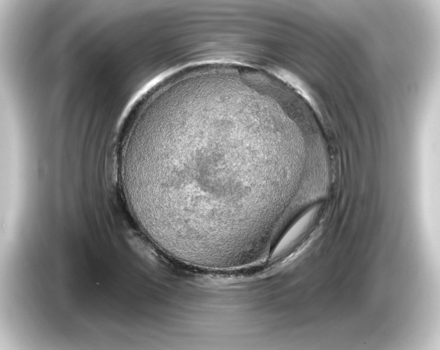 X0000084561069200703161700