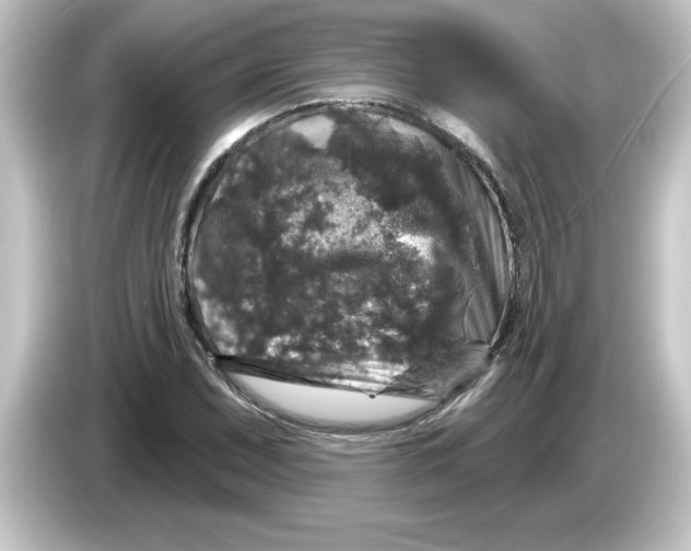 X0000084561071200703161700