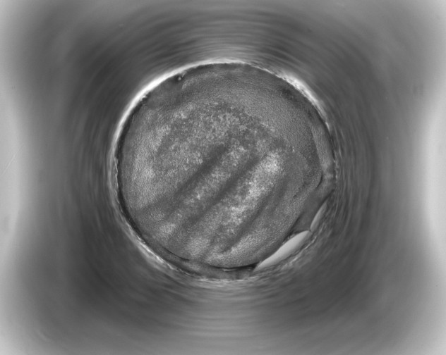 X0000084561072200703161700