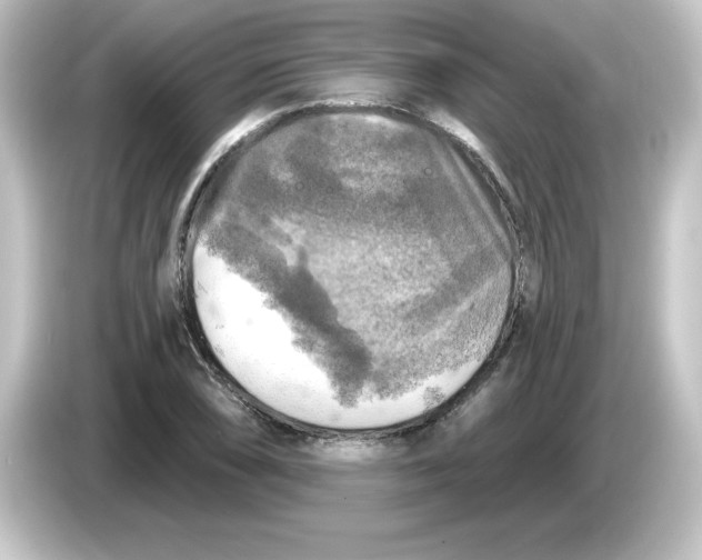 X0000084561074200703161700