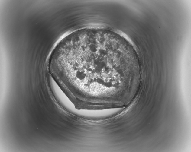 X0000084561075200703161700