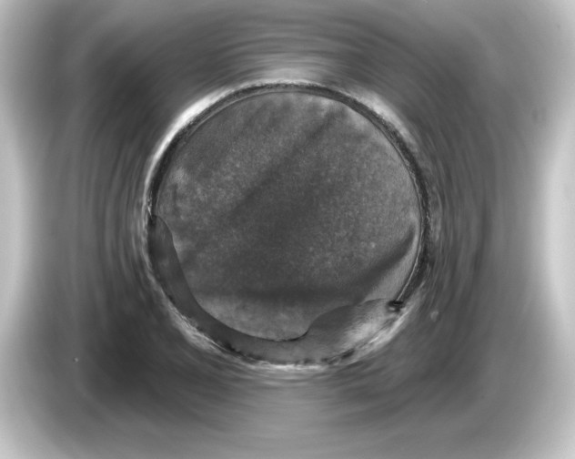 X0000084561077200703161700