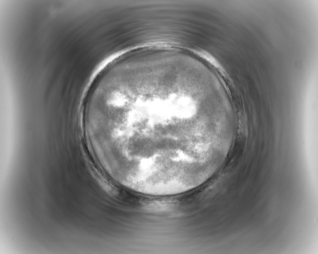 X0000084561078200703161700