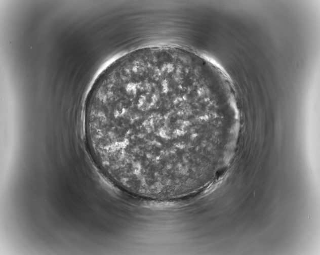 X0000084561079200703161700