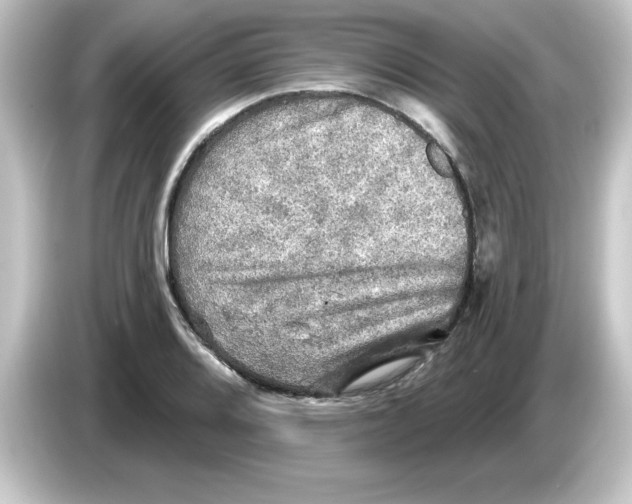 X0000084561080200703161700