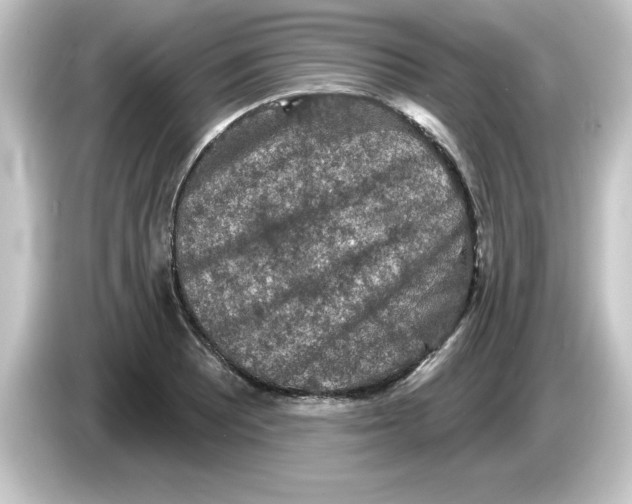 X0000084561081200703161700