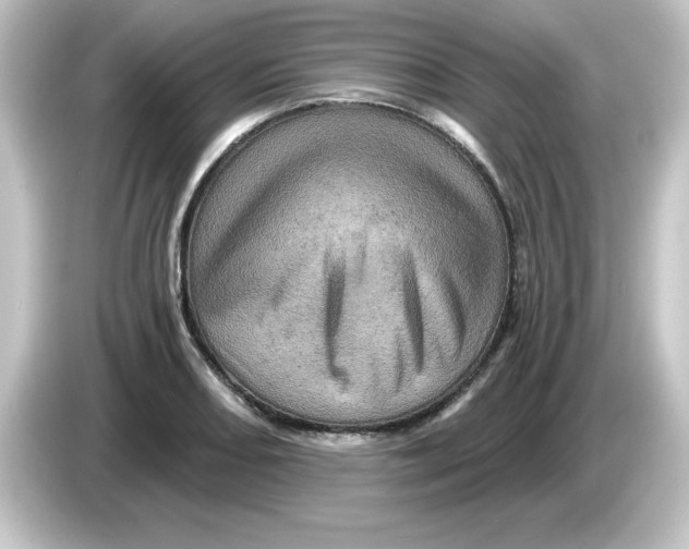 X0000084561082200703161700