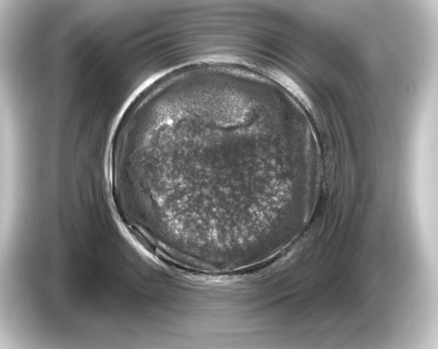 X0000084561084200703161700