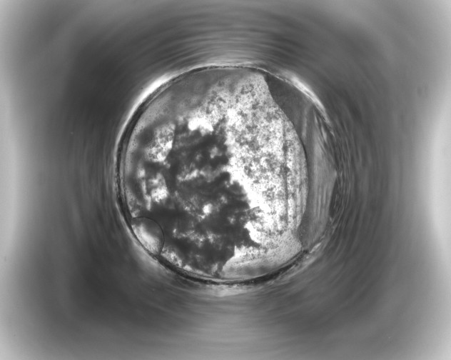 X0000084561087200703161700