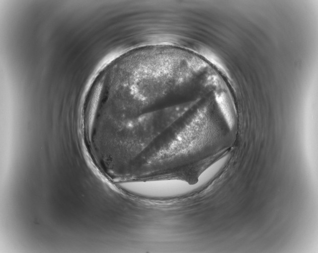 X0000084561088200703161700