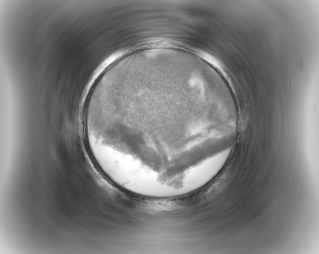 X0000084561090200703161700