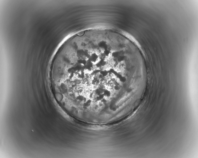 X0000084561091200703161700