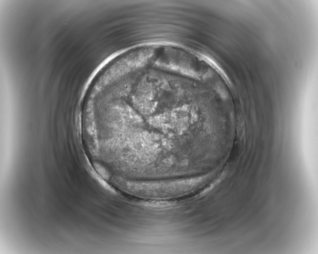 X0000084561092200703161700