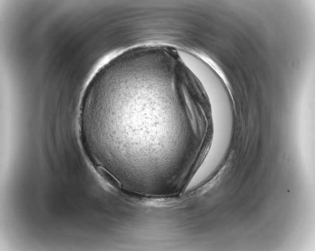 X0000084561093200703161700