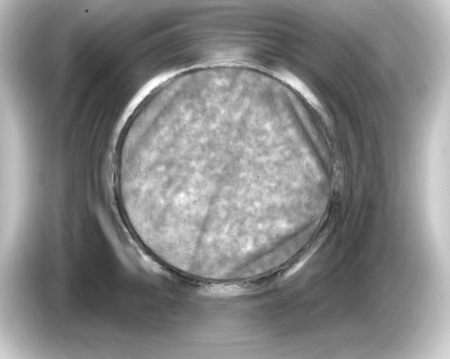 X0000084561094200703161700