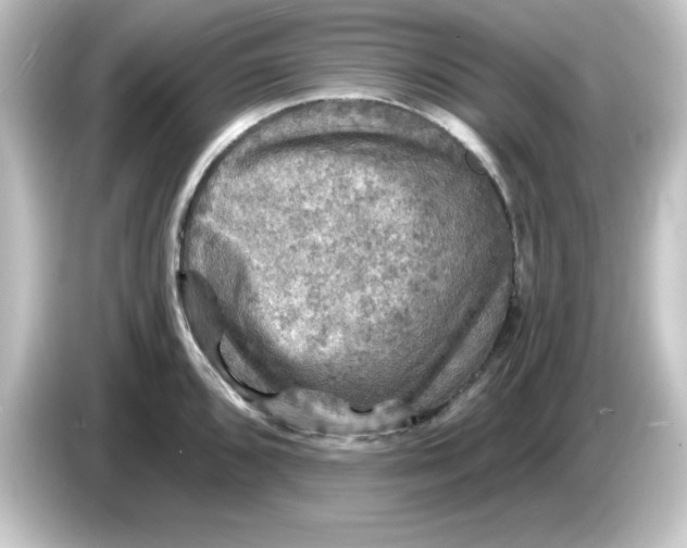 X0000084561096200703161700