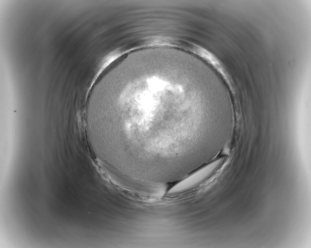 X0000084561097200703161700