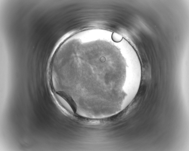 X0000084561098200703161700