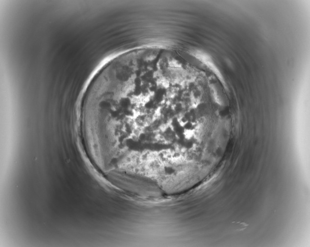 X0000084561099200703161700