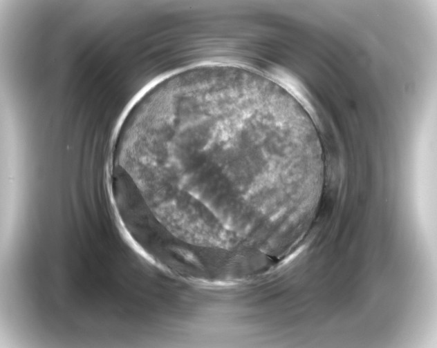 X0000084561100200703161700