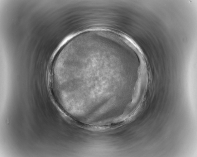 X0000084561101200703161700