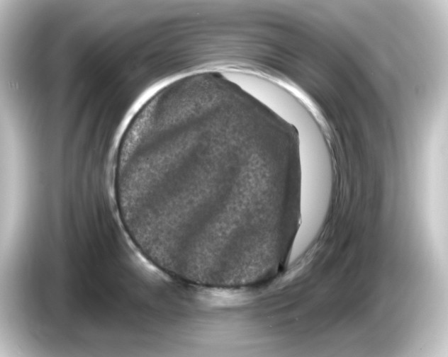 X0000084561102200703161700