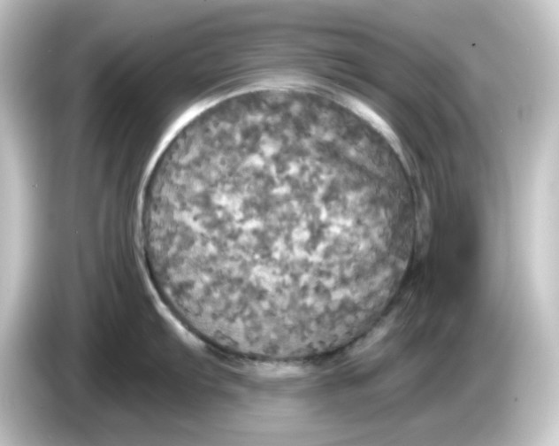 X0000084561103200703161700