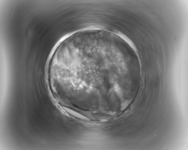 X0000084561104200703161700