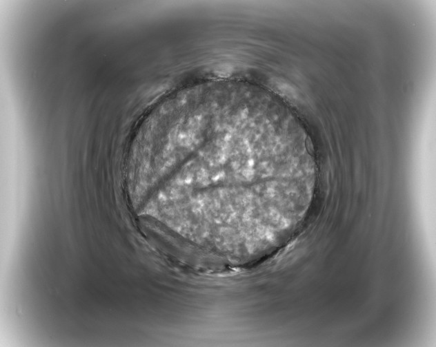 X0000084561105200703161659