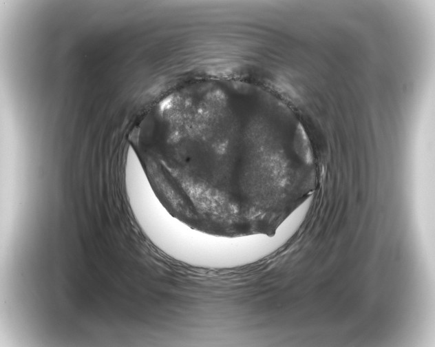 X0000084561106200703161659