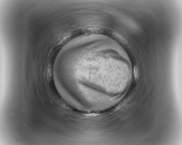 X0000084561107200703161659