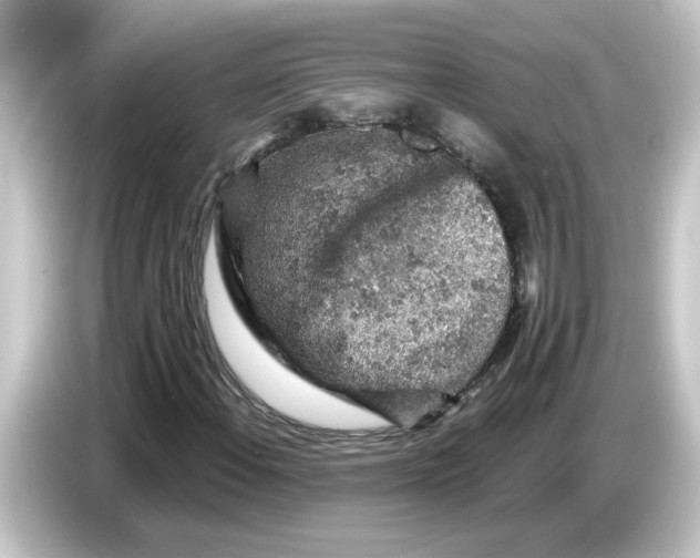 X0000084561108200703161659