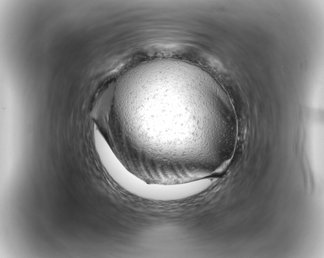 X0000084561109200703161659