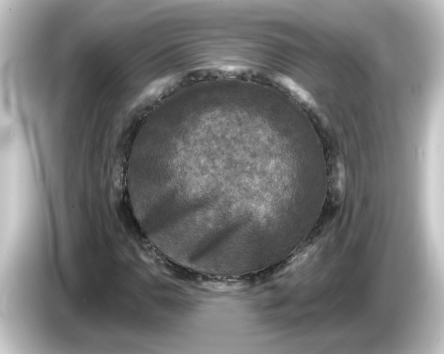 X0000084561110200703161659