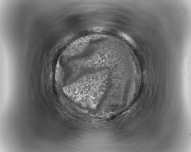 X0000084561111200703161659