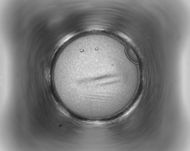 X0000084561113200703161659