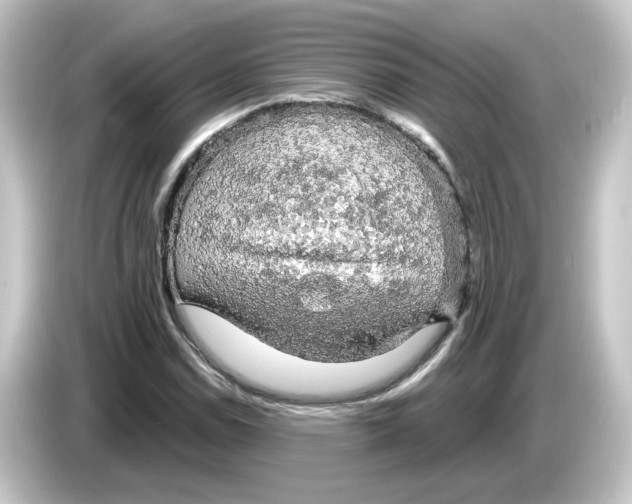 X0000084561114200703161659