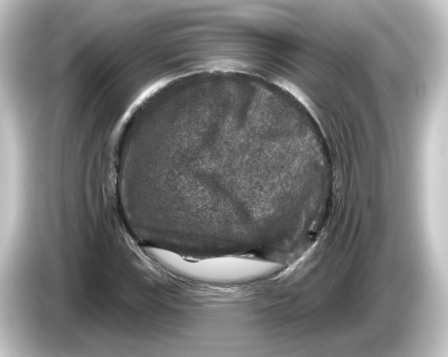 X0000084561115200703161659