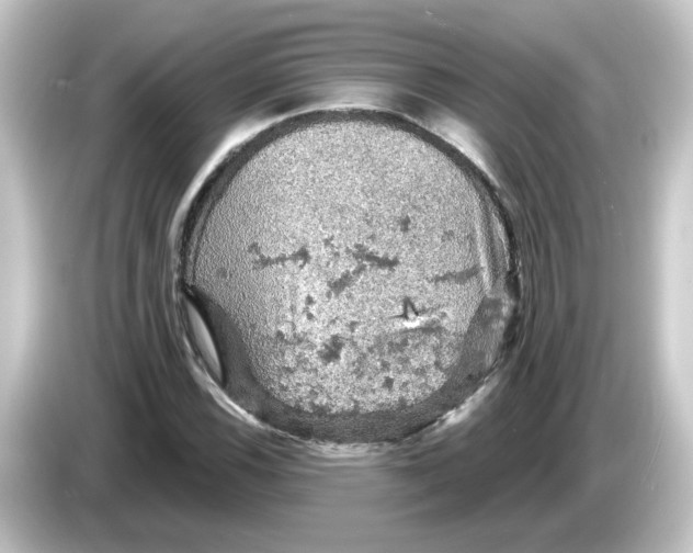 X0000084561116200703161659