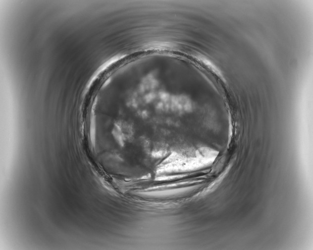 X0000084561117200703161659