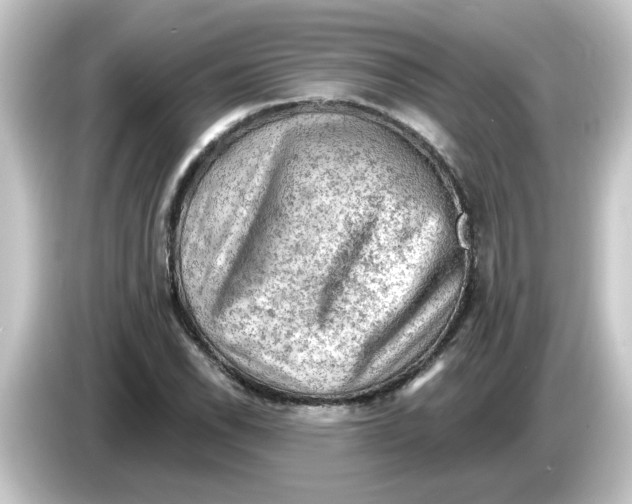 X0000084561118200703161659