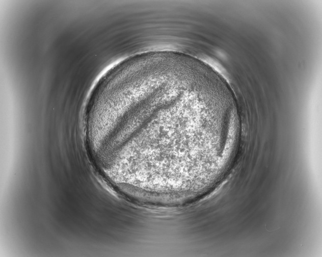 X0000084561119200703161659