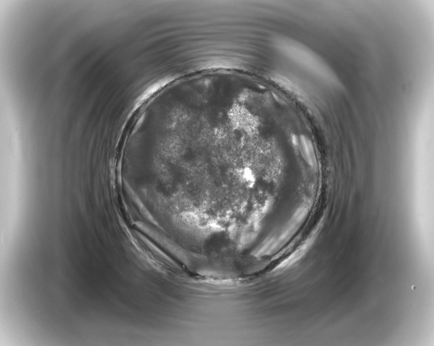 X0000084561121200703161659