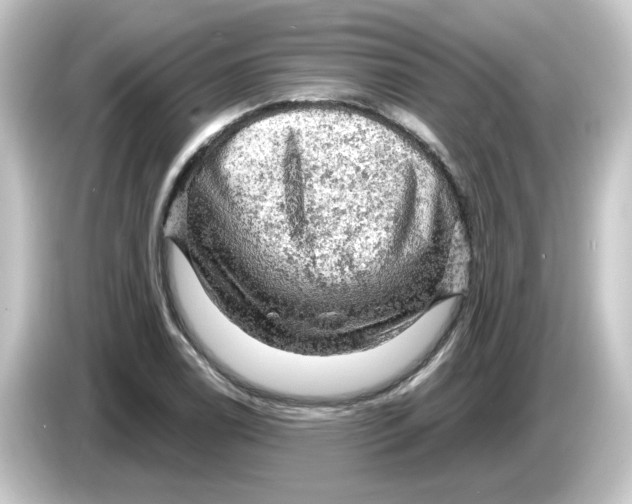 X0000084561122200703161659